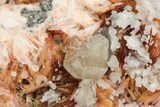 Cerussite Crystals & Galena On Blade Barite - Morocco #222913-2